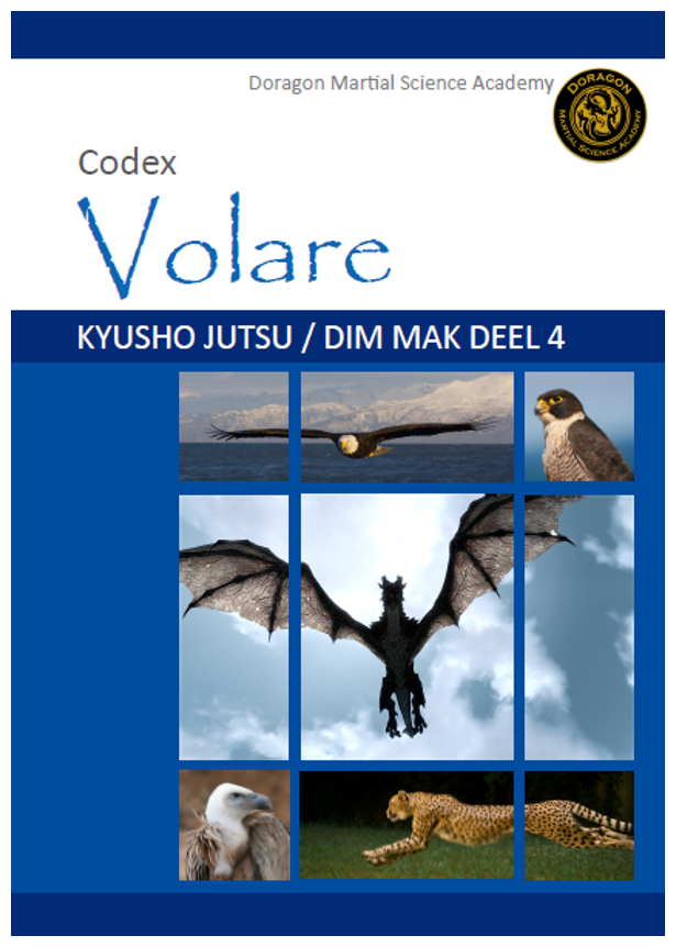 wr_codex-volare-cover